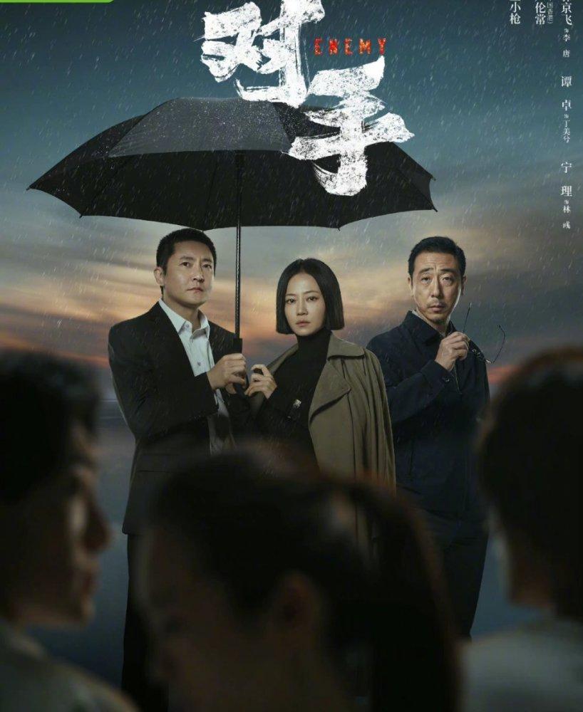 王志文最新主演电视剧深度解析与探讨，角色背后的故事与演技探讨