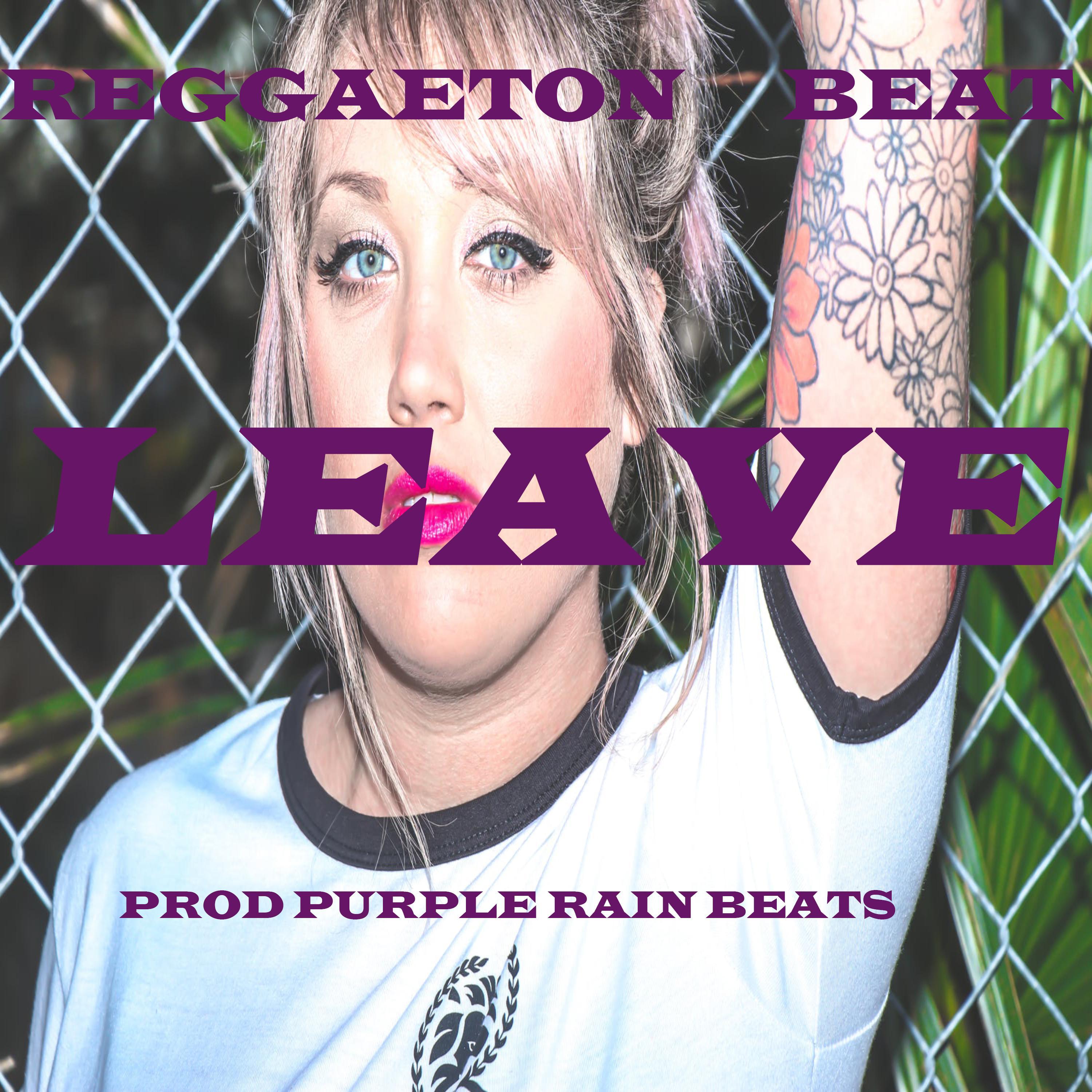 探索隐藏版特色小店,小巷深处的独特风味——好leave最新资讯速递