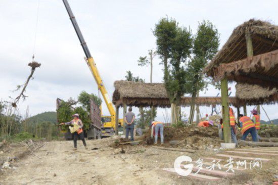 最新百里杜鹃公路建设进展报告更新