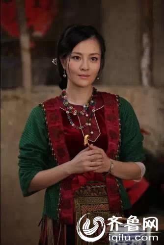 深度解析电视剧沙漠苍狼成功之道与潜在争议探讨