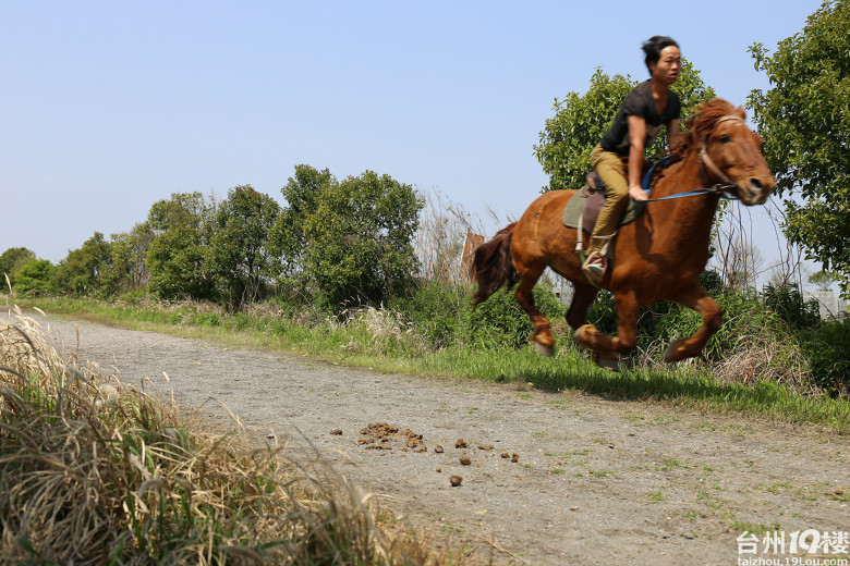 马奔最新动态揭秘，探索自然美景之旅，寻找内心平和的旅程