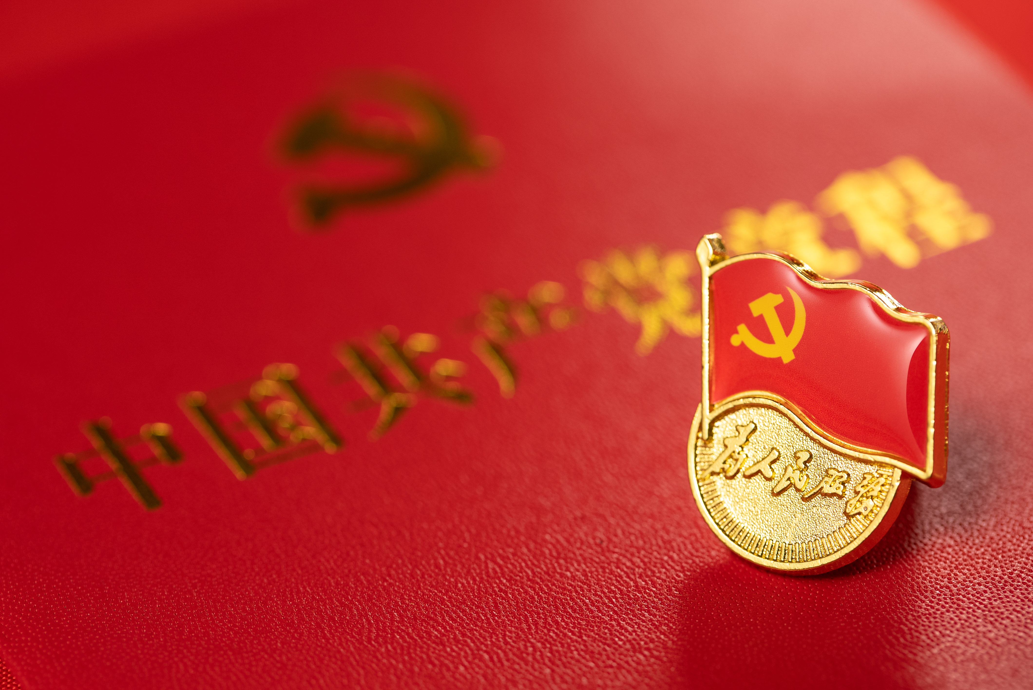 党徽最新版，时代之光下的新标志