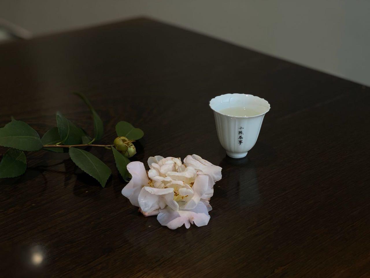 白茶上市时间,白茶上市时间,一篇详细的步骤指南