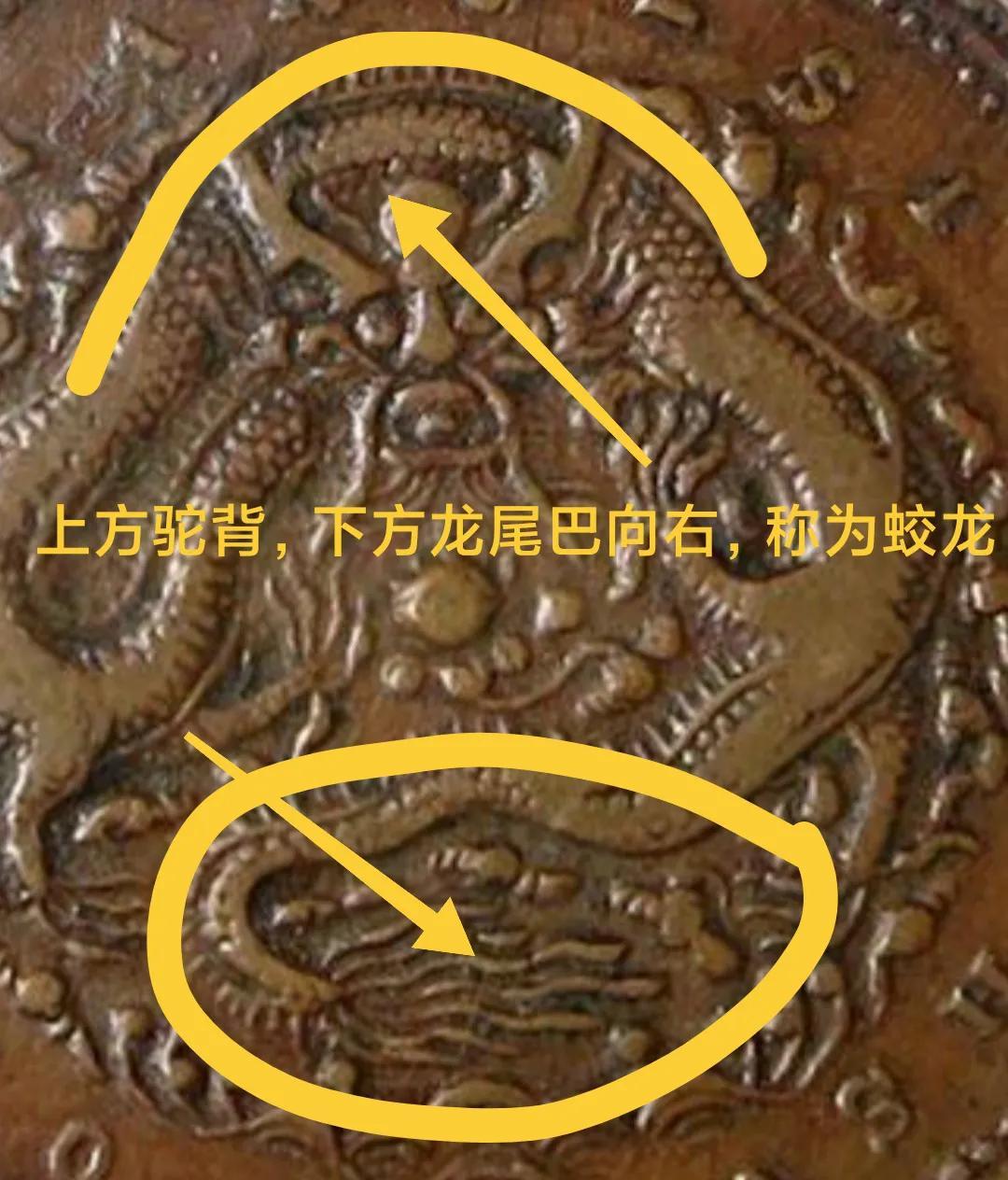 四川猪肉行情,科技重塑行业,智能体验引领未来发展新篇章