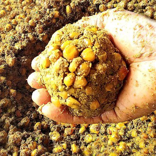 钓草鱼比赛攻略,步骤指南与实战技巧