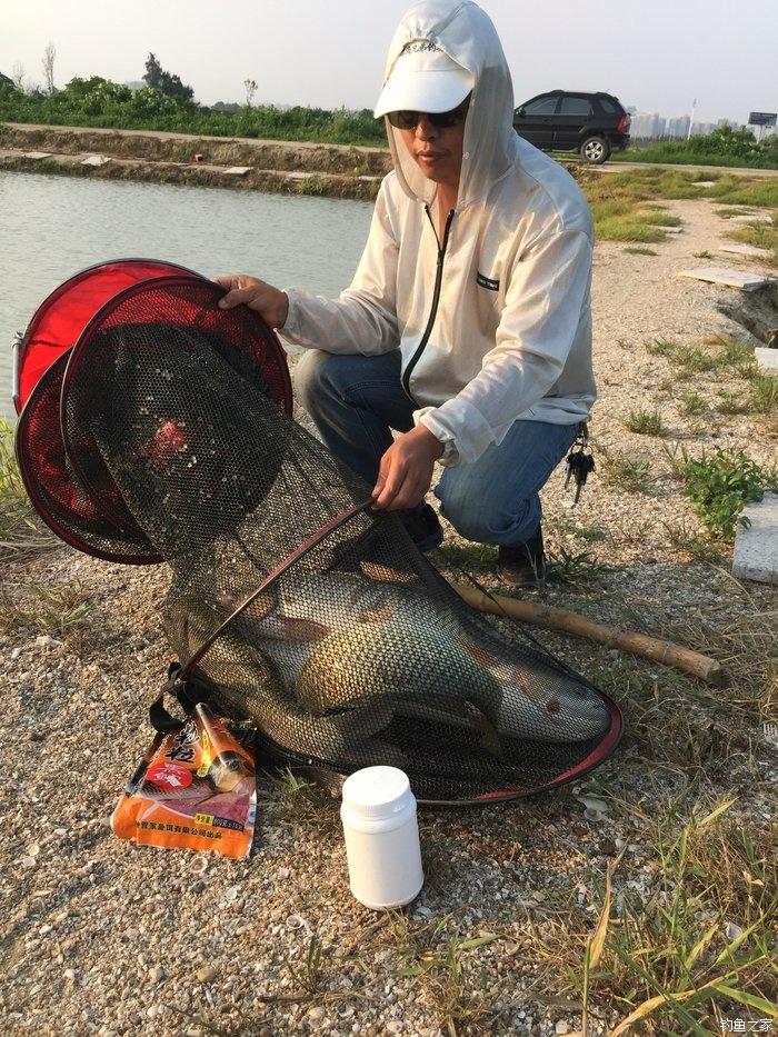 钓草鱼比赛攻略,步骤指南与实战技巧