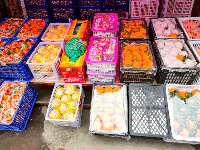 水果批发价格行情,水果批发价格行情，一场自然美景的旅行与内心的宁静之旅