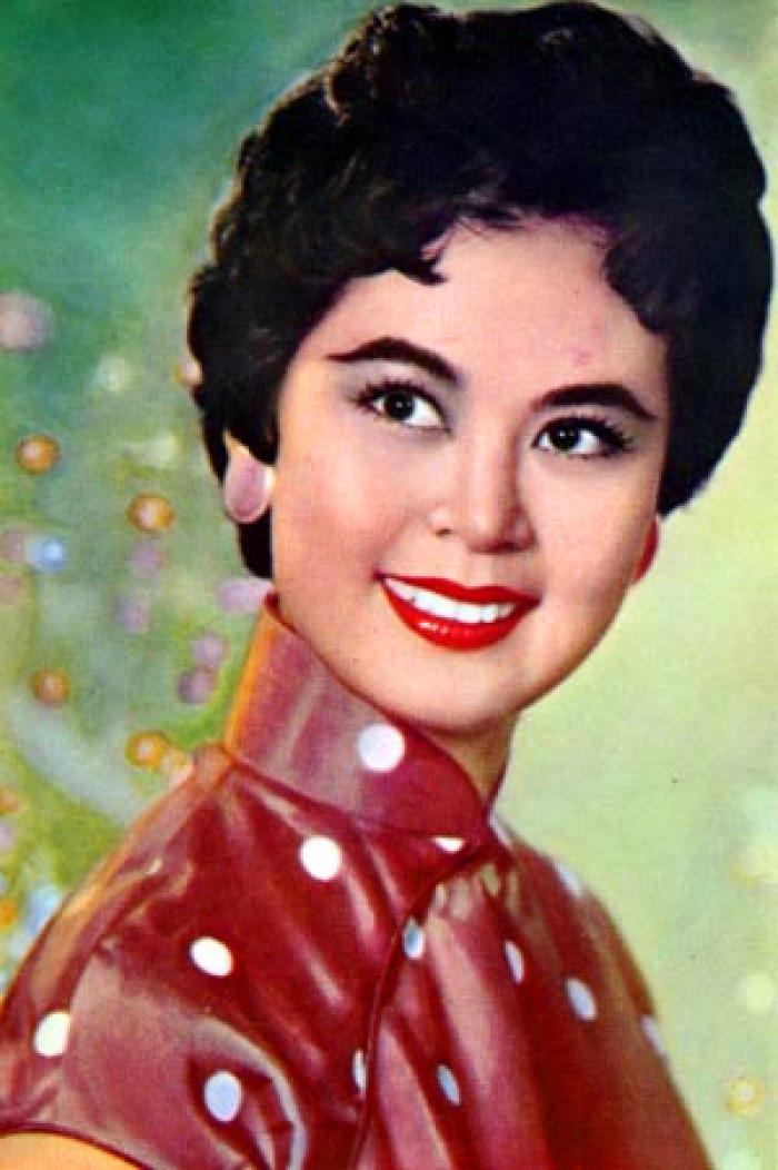 揭秘时光宝藏,一九六零年明星小巷的秘密之旅