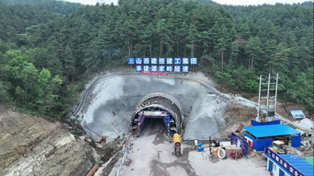 程壁新动态揭秘，小巷深处的独特风味探索