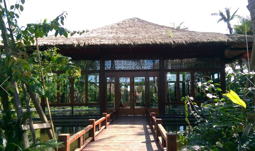 卧龙谷上上泉最新资讯,自然美景探索之旅,寻找内心平和宁静的旅程