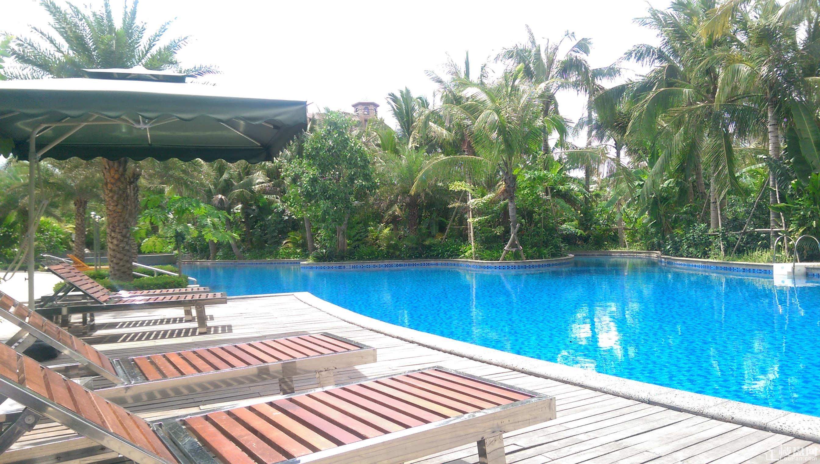 卧龙谷上上泉最新资讯,自然美景探索之旅,寻找内心平和宁静的旅程