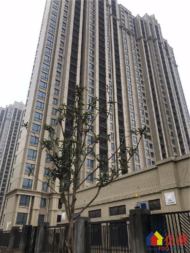 武汉光谷东最新动态揭秘，光谷的温馨日常进展更新