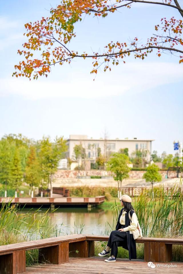 武汉光谷东最新动态揭秘,光谷的温馨日常进展更新