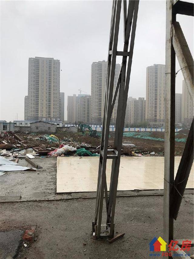 武汉光谷东最新动态揭秘,光谷的温馨日常进展更新