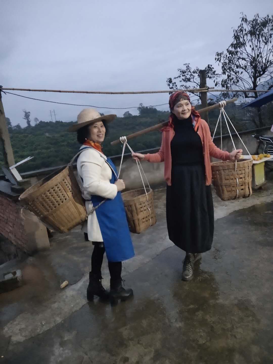 小村往事杨小宝最新纪事,小村往事杨小宝最新纪事,科技巨擘的新品揭秘