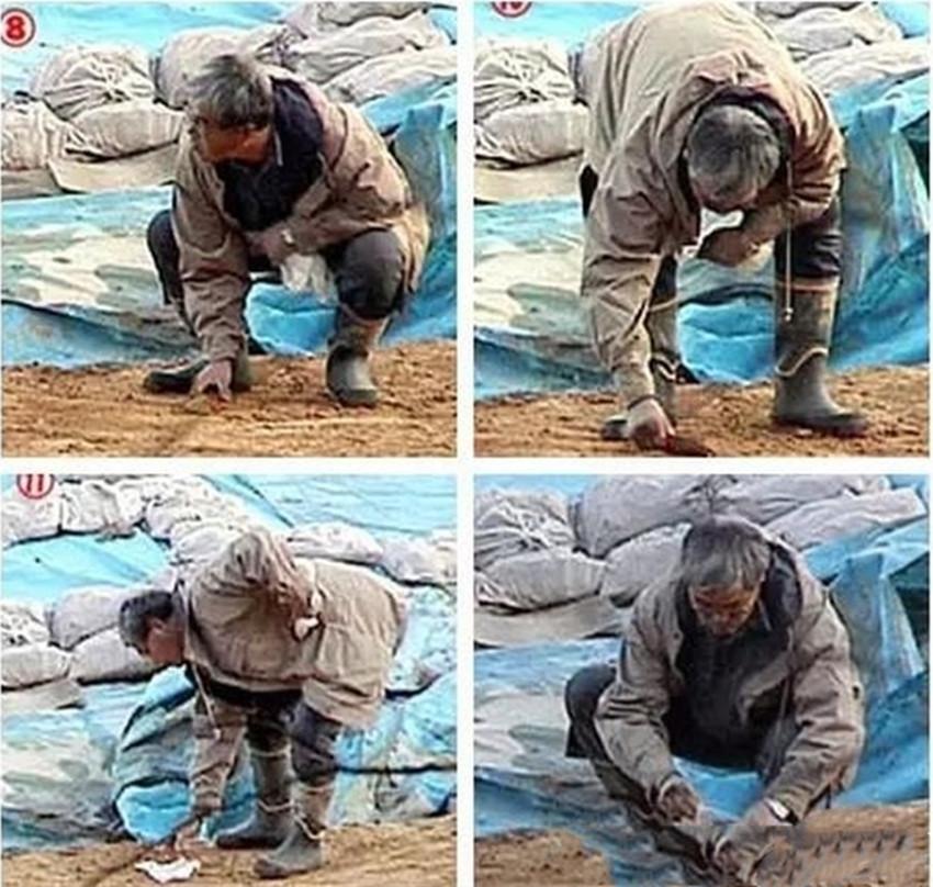 最新石器发现,最新石器发现,一段温馨的寻宝之旅