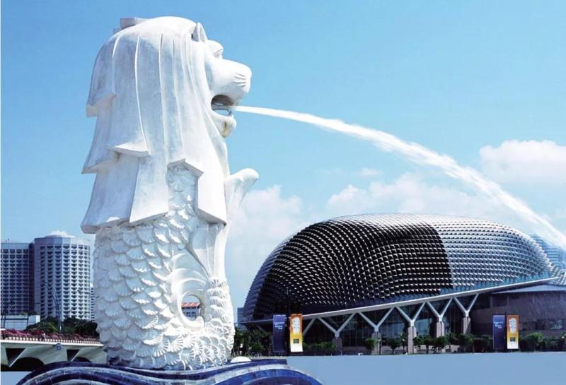 新加坡最新发布,变化的力量塑造自信与成就之源