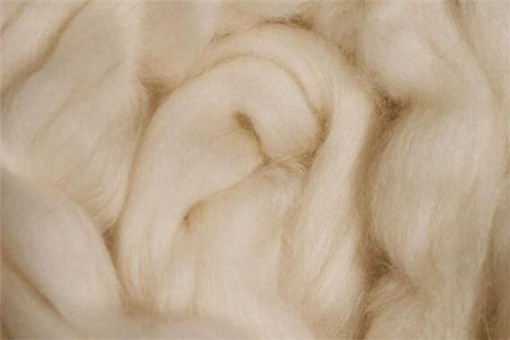 羊毛行情中的温情故事