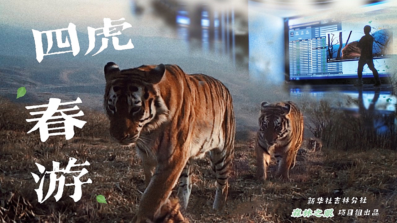 四虎最新入口,探索变化中的学习之旅,自信与成就感的起点