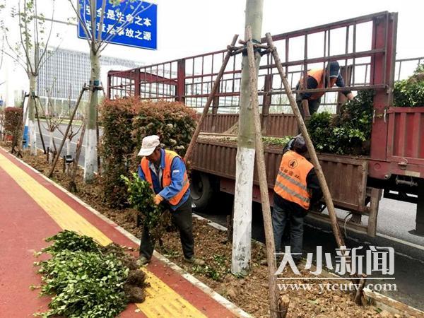 彩云出行资讯,引领科技潮流,重塑出行体验新纪元