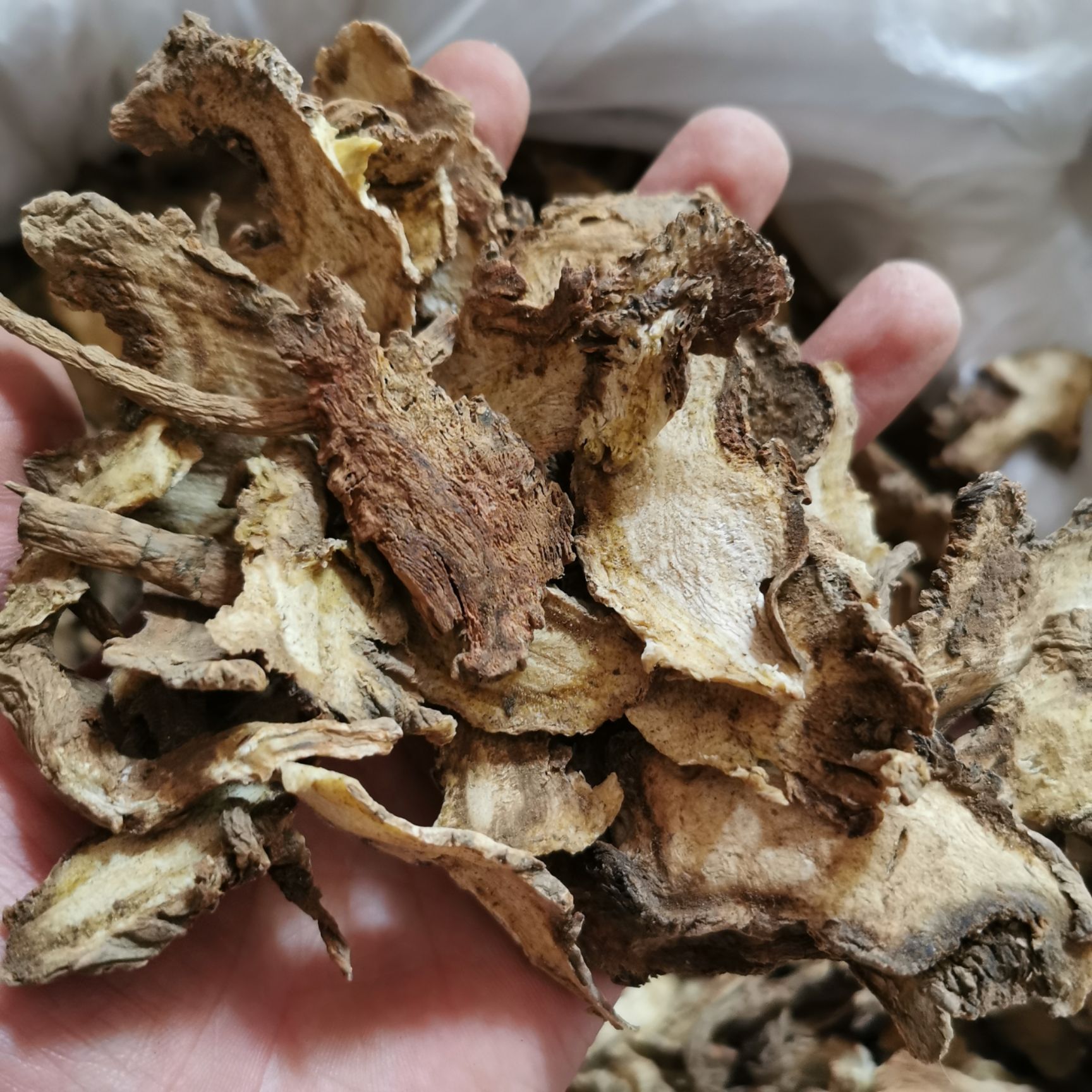 独活最新行情，小巷深处的隐藏宝藏探索之旅