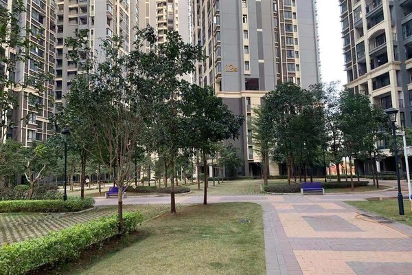 南宁天誉花园最新住宅价格揭秘,生活篇章,与变化共舞的梦想起航地