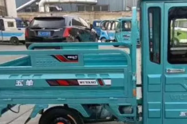 小红书揭秘，五羊电动三轮车价格全解析🛵