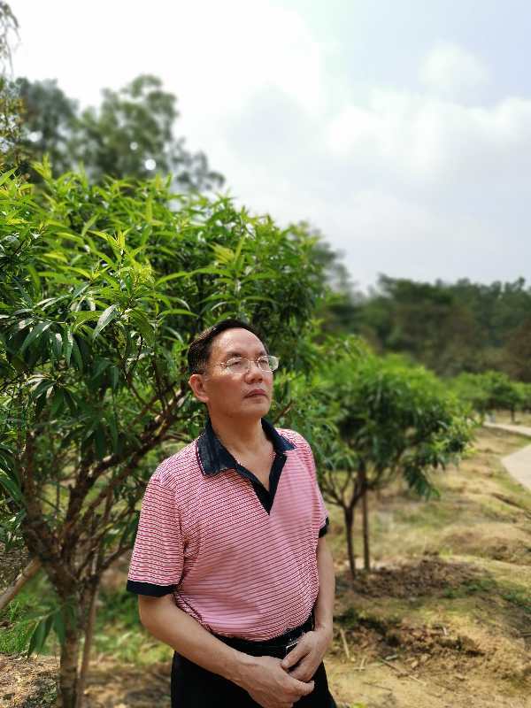 李晓文演员,重磅推荐李晓文演员,闪耀星光的无限魅力