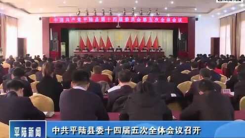 平陆新闻快讯,小巷深处的独特风味——特色小店探秘故事