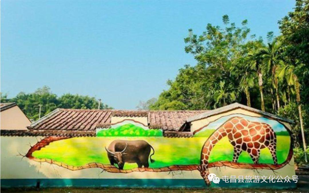 屯昌最新资讯,探寻自然之美,启程宁静心灵之旅