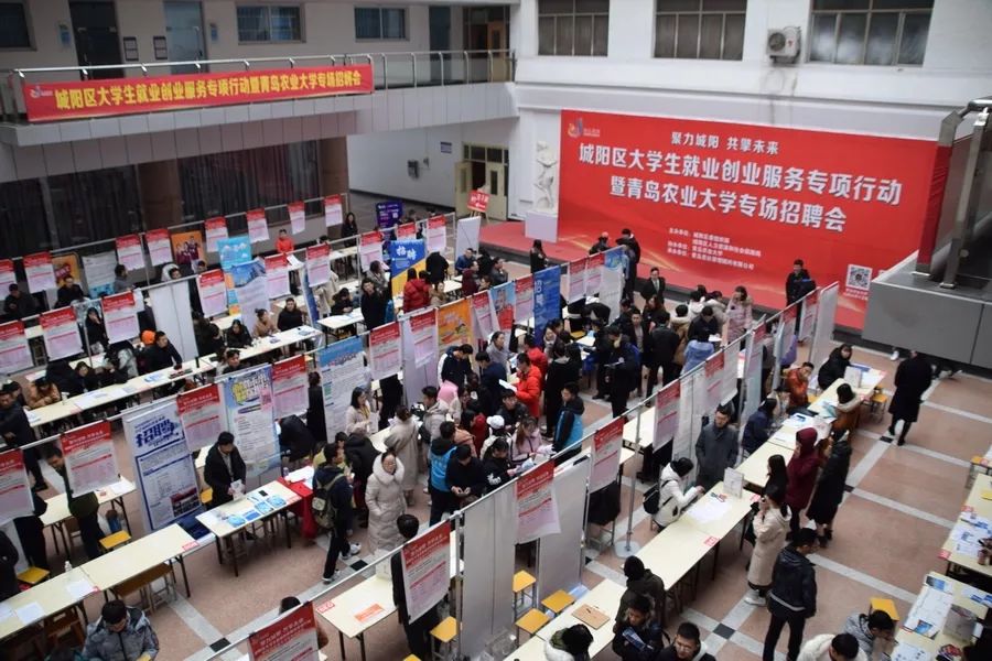 青岛城阳招聘信息，职场新征程启航，乘风破浪共筑未来！