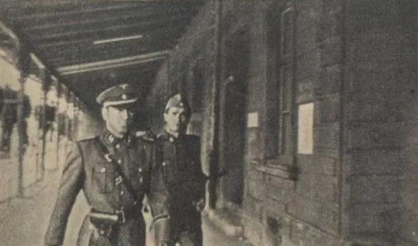 瓦尔特保卫萨拉热窝演员表及背后的励志故事揭秘