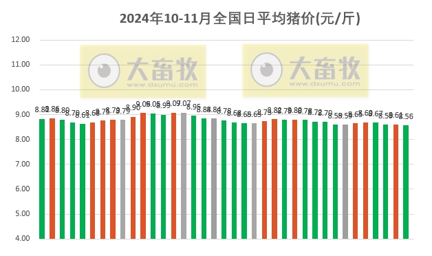 今日生猪价格实时更新与动态分析