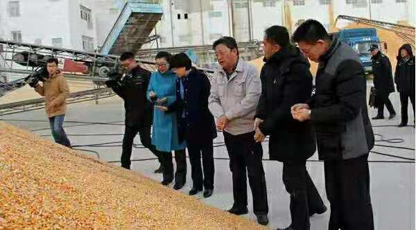 大成玉米集团,最新动态揭示时代步伐与产业领航之路