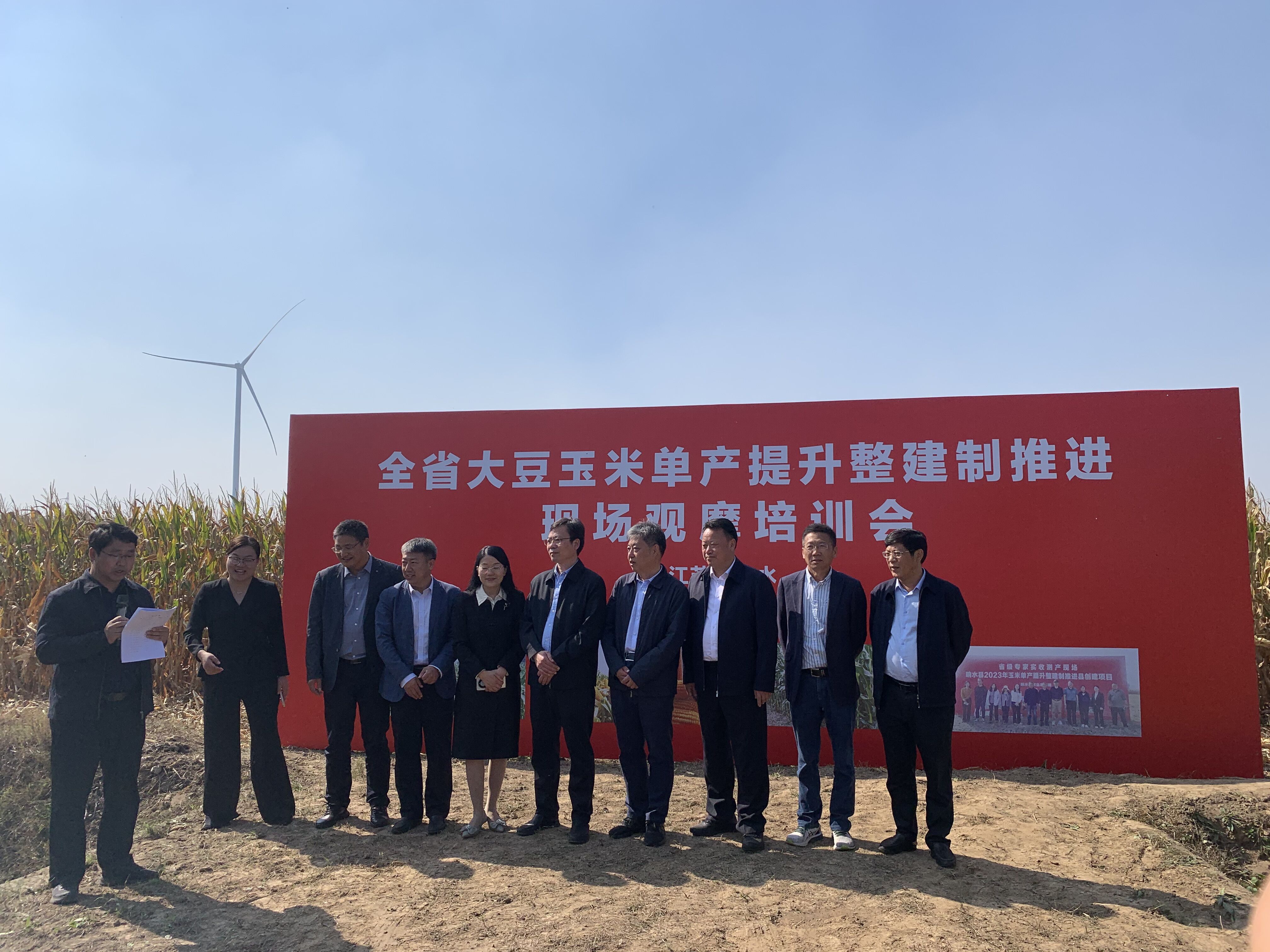 大成玉米集团,最新动态揭示时代步伐与产业领航之路