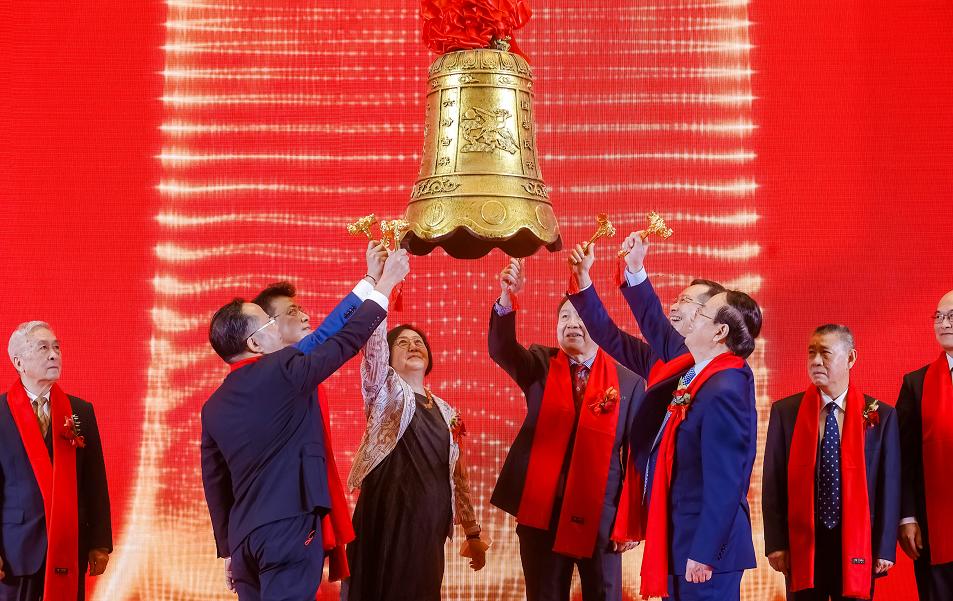 创业板股票代码深度解析与观点阐述全解析