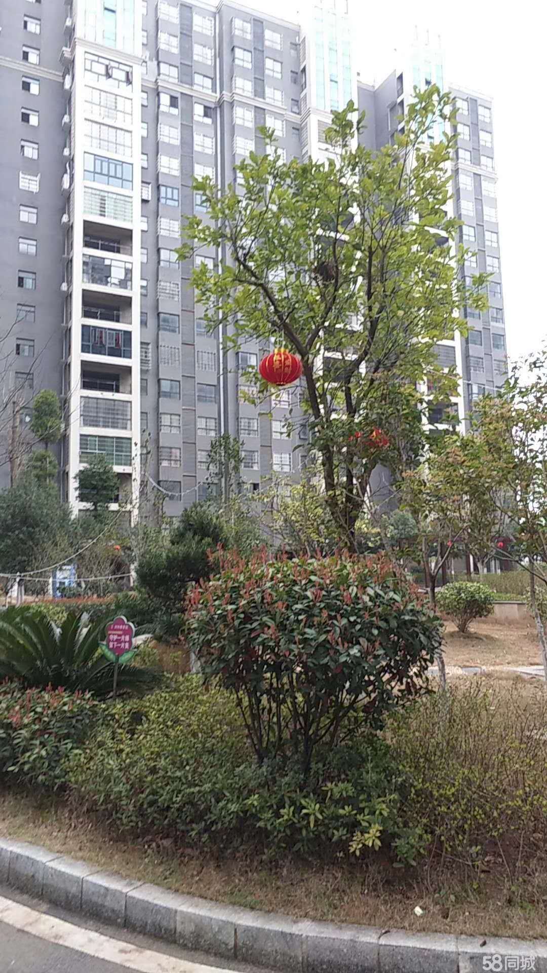 服务案例 第186页