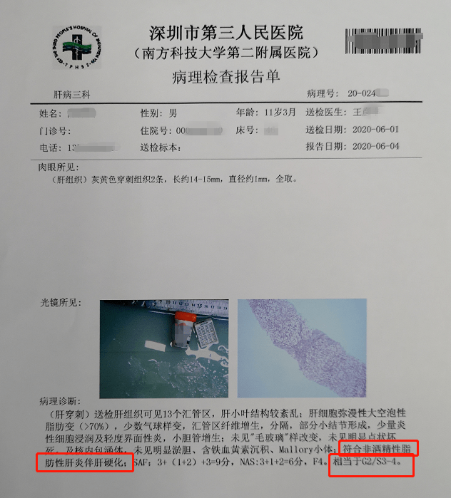 确诊病例最新动态,自然疗愈的力量呼唤旅行启程