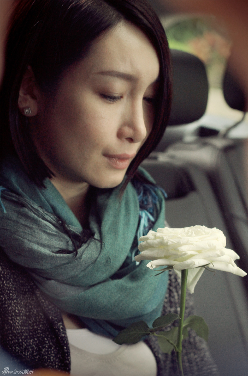 圣诞玫瑰演员表,演绎暖心经典之作的明星阵容