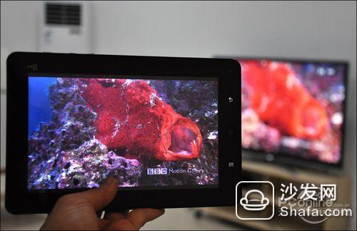 电视视频播放与小巷深处的特色小店探寻之旅