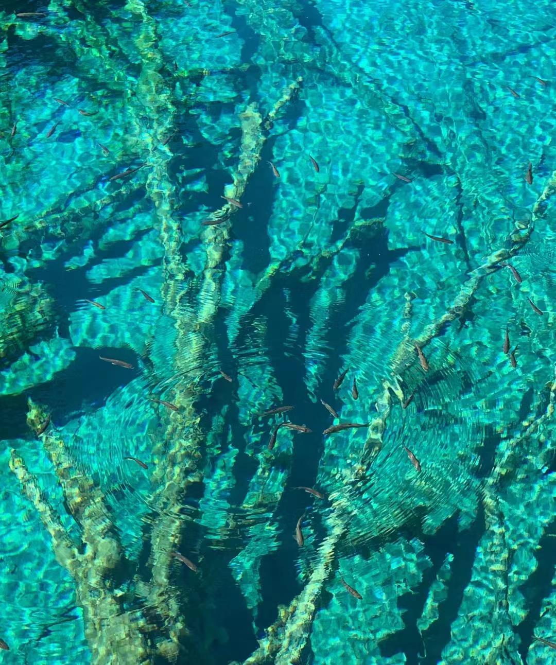 服务案例 第184页