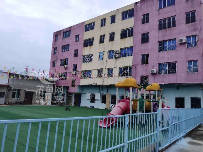 服务项目 第196页