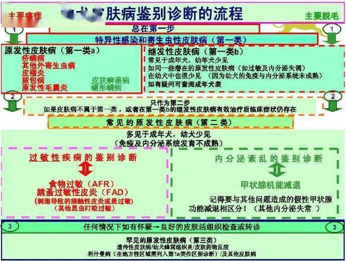 最新甲亢交流群,爱的纽带与温馨的日常互动