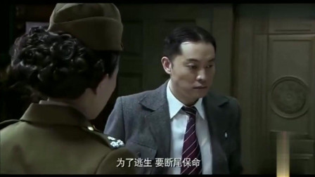 渗透电视剧全集下载,自然美景的心灵之旅启程