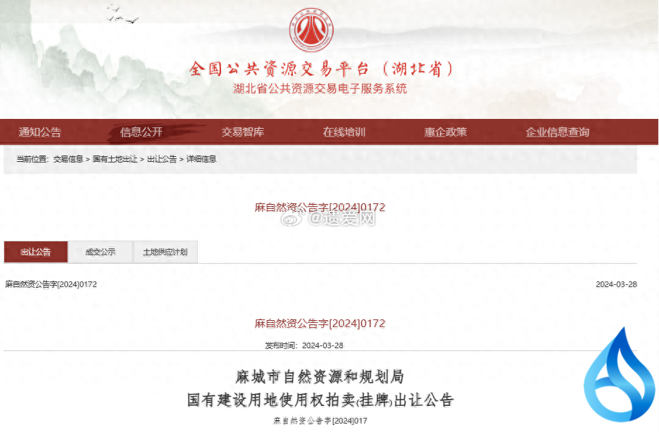 麻城美食新发现,小巷深处的独特风味等你来探秘