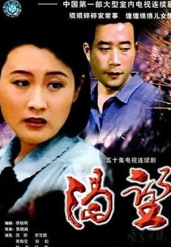 90年代电视剧全集，时代的印记，永恒的记忆