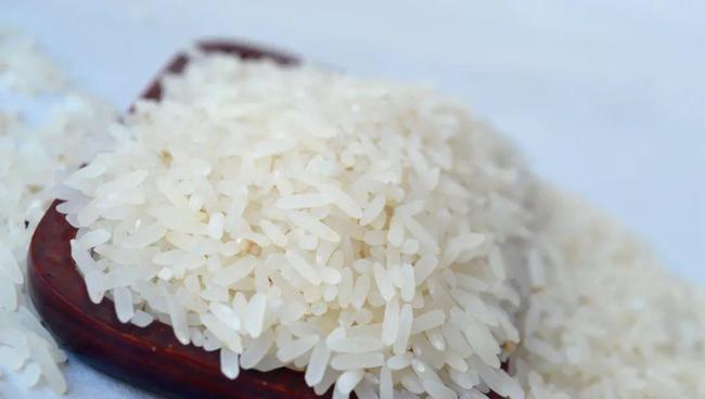 今日糯稻行情深度解析，一场绿色寻心之旅