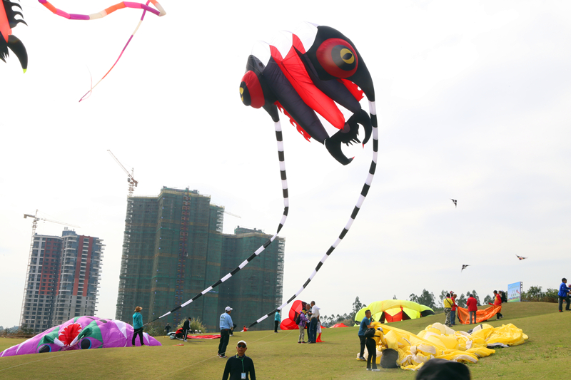 比赛用风筝,小巷深处的风筝秘境探索
