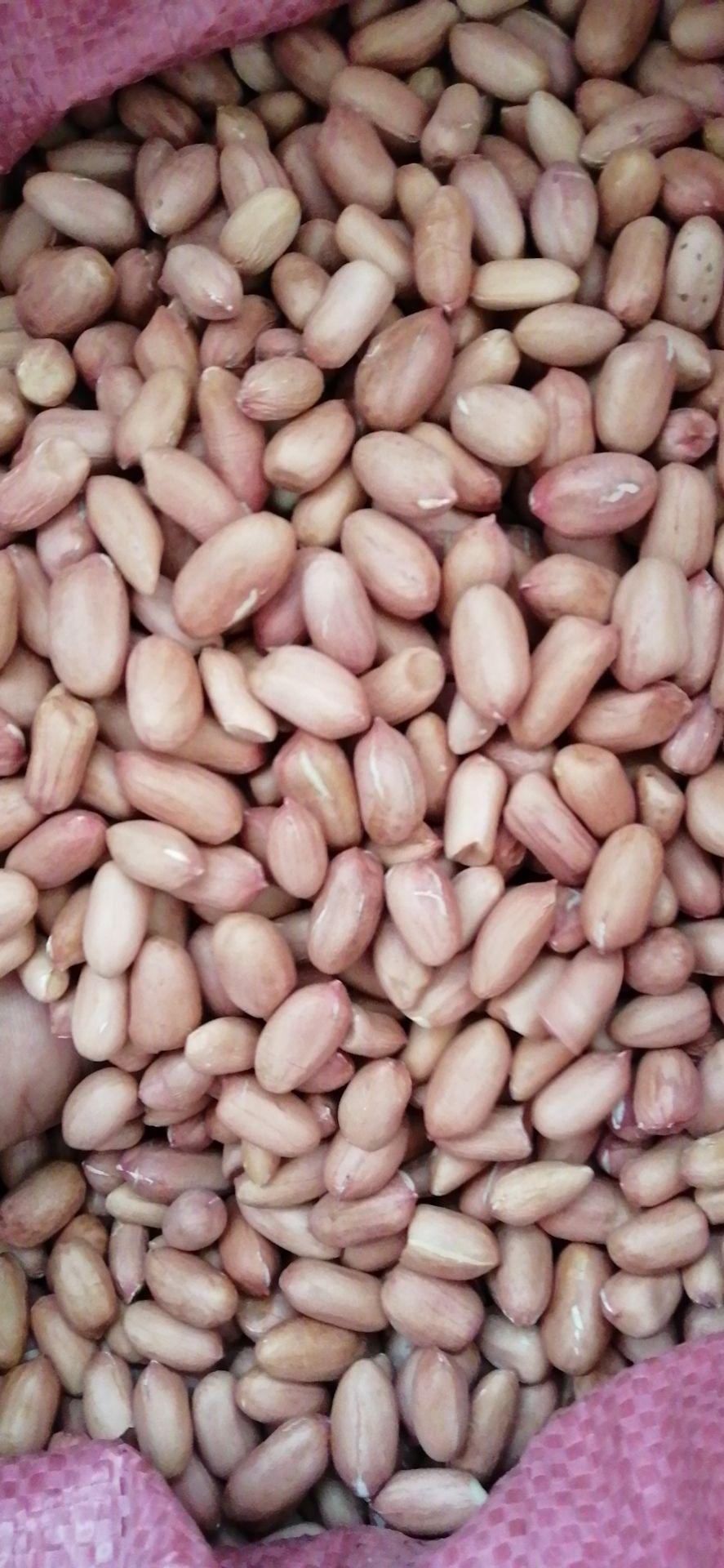 江苏花生米最新行情,江苏花生米最新行情分析