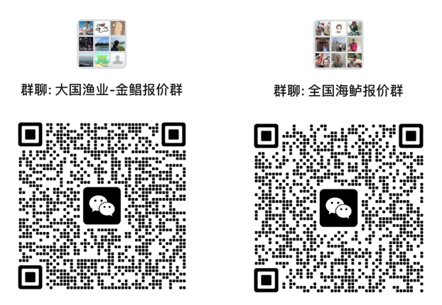 微信最新群聊二维码,友谊连线,学习成长,自信闪耀的社群聚集地